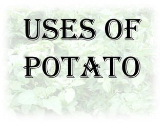 Uses of Potato