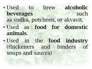 Used to brew alcoholic beverages such as vodka, potcheen, or akvavit.Used as food for domestic animals.Used in the food industry (thickeners and binders of soups and sauces)