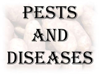 Pests and Diseases