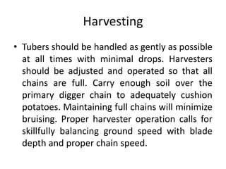 HarvestingTubers should be handled as gently as possible at all times with minimal drops. Harvesters should be adjusted and operated so that all chains are full. Carry enough soil over the primary digger chain to adequately cushion potatoes. Maintaining full chains will minimize bruising. Proper harvester operation calls for skillfully balancing ground speed with blade depth and proper chain speed.