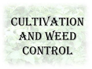 A potato storage should have adequate insulation, outside waterproofing, inside vapor proofing, ventilation, air distribution, adequate humidification, and properly designed controls for precisely maintaining the storage atmosphere.Potatoes can be stored in pallet boxes for short periods.Store at 40 to 42 F with 95% relative humidity