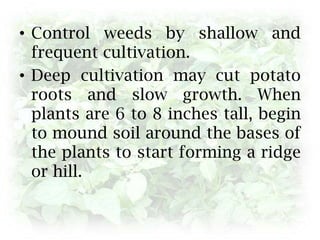 Cultivation and Weed Control