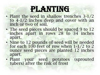 Temperature RequirementThey prefer COOL weather (higher than 28 F but lower than 90 F)