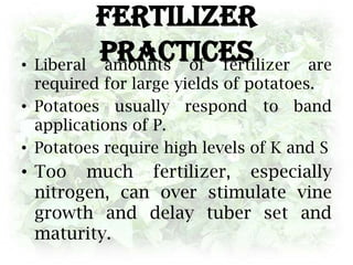 PlantingPlant the seed in shallow trenches 3-1/2 to 4-1/2 inches deep and cover with an inch or two of soil.The seed pieces should be spaced 9 to 12 inches apart in rows 28 to 34 inches apart. Nine to 12 pounds of seed will be needed for each 100 feet of row when 1-1/2 to 2 ounce seed pieces are planted 12 inches apart. Plant your seed potatoes (sprouted tubers) after the risk of frost