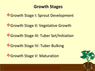 Growth Stages 
Growth Stage I: Sprout Development 
Growth Stage II: Vegetative Growth 
Growth Stage III: Tuber Set/Initiation 
Growth Stage IV: Tuber Bulking 
Growth Stage V: Maturation 
www.potatoesforschools.org.uk 
 