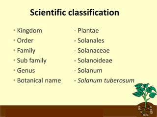 Scientific classification 
www.potatoesforschools.org.uk 
 