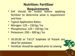 Nutrition: Fertilizer 
Requirements 
• Soil should be tested before applying 
fertilizer to determine what is requirement 
and how 
• Typical Application Rates: 
• Nitrogen: 125 – 150 kg / ha 
• Phosphorous: 125 – 150 kg / ha 
• Potassium: 250 – 300 kg / ha 
• 10:10:20 or 7:6:17 Sulphate of Potash are 
ideal for potatoes 
• Fertilizer should be applied prior to sowing 
www.potatoesforschools.org.uk 
 