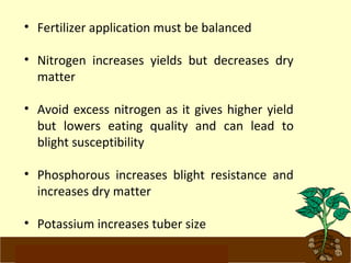 • Fertilizer application must be balanced 
• Nitrogen increases yields but decreases dry 
matter 
• Avoid excess nitrogen as it gives higher yield 
but lowers eating quality and can lead to 
blight susceptibility 
• Phosphorous increases blight resistance and 
increases dry matter 
• Potassium increases tuber size 
www.potatoesforschools.org.uk 
 