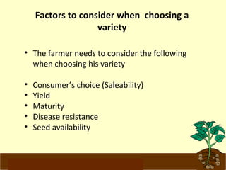 Factors to consider when choosing a 
variety 
• The farmer needs to consider the following 
when choosing his variety 
• Consumer’s choice (Saleability) 
• Yield 
• Maturity 
• Disease resistance 
• Seed availability 
www.potatoesforschools.org.uk 
 