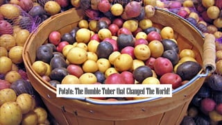 R O T I
P o w e r P o i n t P o w e r P o i n t
Potato:TheHumbleTuber thatChanged TheWorld!
 