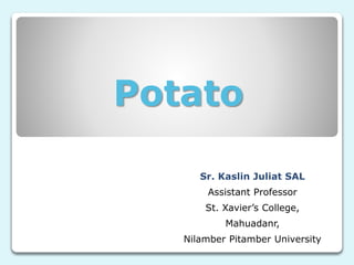 Potato
Sr. Kaslin Juliat SAL
Assistant Professor
St. Xavier’s College,
Mahuadanr,
Nilamber Pitamber University
 