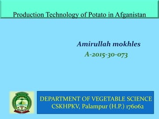Production Technology of Potato in Afganistan
1
Amirullah mokhles
A-2015-30-073
DEPARTMENT OF VEGETABLE SCIENCE
CSKHPKV, Palampur (H.P.) 176062
 