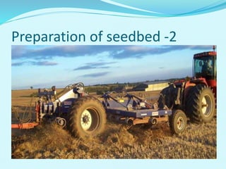 Preparation of seedbed -2
 