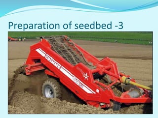Preparation of seedbed -3
 