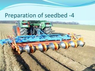 Preparation of seedbed -4
 