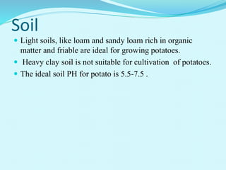 Soil
 Light soils, like loam and sandy loam rich in organic
matter and friable are ideal for growing potatoes.
 Heavy clay soil is not suitable for cultivation of potatoes.
 The ideal soil PH for potato is 5.5-7.5 .
 