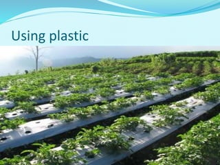 Using plastic
 