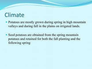 Climate
 Potatoes are mostly grown during spring in high mountain
valleys and during fall in the plains on irrigated lands.
 Seed potatoes are obtained from the spring mountain
potatoes and retained for both the fall planting and the
following spring
 
