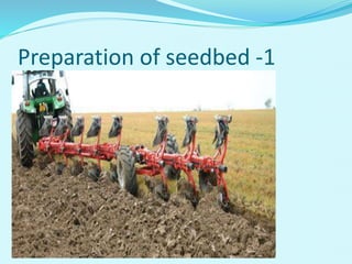 Preparation of seedbed -1
 
