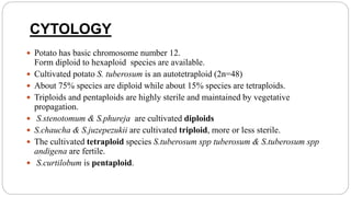 CYTOLOGY
 Potato has basic chromosome number 12.
Form diploid to hexaploid species are available.
 Cultivated potato S. tuberosum is an autotetraploid (2n=48)
 About 75% species are diploid while about 15% species are tetraploids.
 Triploids and pentaploids are highly sterile and maintained by vegetative
propagation.
 S.stenotomum & S.phureja are cultivated diploids
 S.chaucha & S.juzepezukii are cultivated triploid, more or less sterile.
 The cultivated tetraploid species S.tuberosum spp tuberosum & S.tuberosum spp
andigena are fertile.
 S.curtilobum is pentaploid.
 