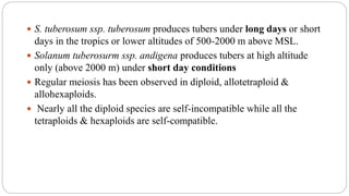  S. tuberosum ssp. tuberosum produces tubers under long days or short
days in the tropics or lower altitudes of 500-2000 m above MSL.
 Solanum tuberosurm ssp. andigena produces tubers at high altitude
only (above 2000 m) under short day conditions
 Regular meiosis has been observed in diploid, allotetraploid &
allohexaploids.
 Nearly all the diploid species are self-incompatible while all the
tetraploids & hexaploids are self-compatible.
 
