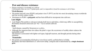 Pest and disease resistance
 Disease resistance is invaluable in a cultivar.
Unfortunately, there are over 75 potato pests, and it is impossible to breed for resistance to all of them.
Viral diseases
 The potato leaf-roll virus (PLRV) and potato virus Y (PVY) are the two most devastating viruses worldwide
and can severely reduce yields.
 Resistance to PLRV is polygenic and has been difficult to incorporate into cultivars.
Late blight
 Late blight (Phytophthora infestans) attacks both leaves and tubers, which may differ in susceptibility.
Resistance-Solanum demissum (2n =6x = 72) to current cultivars
Scab
Scab disease, caused by Streptomyces scabies,
 Although the organism does not reduce the plant’s vigor, the occurrence of scabby tubers reduces the
marketable yield.
The disease is associated with lighter soil types, high pH reaction, and drought periods during tuber
initiation.
Nematodes
 The potato cyst nematodes (Globodera rostochienis and G. pallida) thrive in fields.
Resistance has been identified in S. tuberosum subsp. andigena and is determined by a single dominant
gene
 
