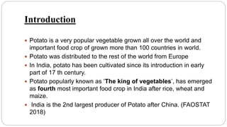 Introduction
 Potato is a very popular vegetable grown all over the world and
important food crop of grown more than 100 countries in world.
 Potato was distributed to the rest of the world from Europe
 In India, potato has been cultivated since its introduction in early
part of 17 th century.
 Potato popularly known as ‘The king of vegetables’, has emerged
as fourth most important food crop in India after rice, wheat and
maize.
 India is the 2nd largest producer of Potato after China. (FAOSTAT
2018)
 