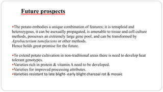Future prospects
The potato embodies a unique combination of features; it is tetraploid and
heterozygous, it can be asexually propagated, is amenable to tissue and cell culture
methods, possesses an extremely large gene pool, and can be transformed by
Agrobacterium tumefaciens or other methods.
Hence holds great promise for the future.
To extend potato cultivation in non-traditional areas there is need to develop heat
tolerant genotypes.
Varieties rich in protein & vitamin A need to be developed.
Varieties for improved processing attributes.
Varieties resistant to late blight- early blight charcoal rot & mosaic
 