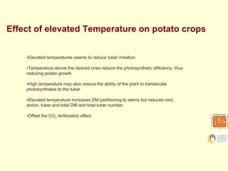 Challenges to sustainable potato production in a changing climate: A research perspective Slide 15
