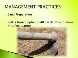  Land Preparation
 Soil is turned upto 30-40 cm depth and make
into fine texture
17
 