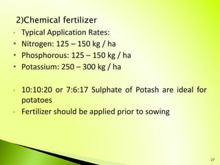 2)Chemical fertilizer
• Typical Application Rates:
• Nitrogen: 125 – 150 kg / ha
• Phosphorous: 125 – 150 kg / ha
• Potass...