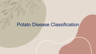 Potato Disease Classification
 
