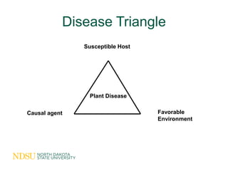 Disease Triangle
               Susceptible Host




                 Plant Disease


Causal agent                      Fa...