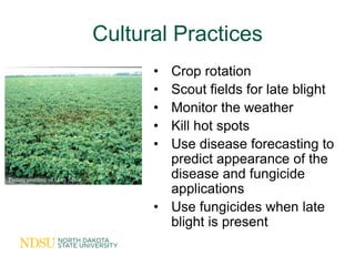 Cultural Practices
                                       • Crop rotation
                                       • Scout f...