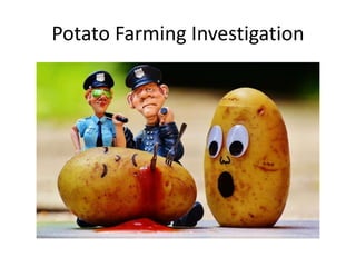 Potato Farming Investigation
 