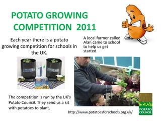 POTATO GROWINGCOMPETITION  2011 A local farmer called Alan came to school to help us get started. Each year there is a potato growing competition for schools in the UK. The competition is run by the UK’s Potato Council. They send us a kit with potatoes to plant. http://www.potatoesforschools.org.uk/ 