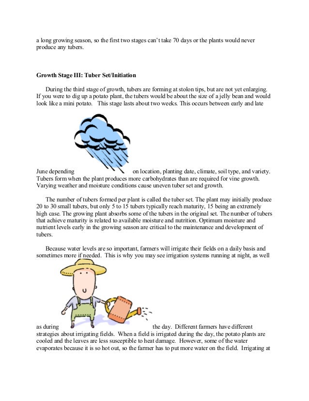 Potato Growth Stages