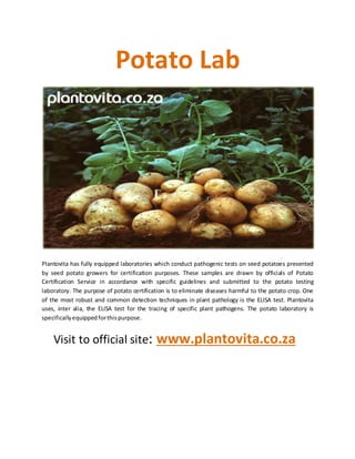 Potato Lab
Plantovita has fully equipped laboratories which conduct pathogenic tests on seed potatoes presented
by seed potato growers for certification purposes. These samples are drawn by officials of Potato
Certification Service in accordance with specific guidelines and submitted to the potato testing
laboratory. The purpose of potato certification is to eliminate diseases harmful to the potato crop. One
of the most robust and common detection techniques in plant pathology is the ELISA test. Plantovita
uses, inter alia, the ELISA test for the tracing of specific plant pathogens. The potato laboratory is
specificallyequippedforthispurpose.
Visit to official site: www.plantovita.co.za
 