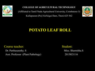 COLLEGE OF AGRICULTURAL TECHNOLOGY
(Affiliated to Tamil Nadu Agricultural University, Coimbatore-3)
Kullapuram (Po),ViaVaigai Dam, Theni-625 562
POTATO LEAF ROLL
Course teacher: Student:
Dr. Parthasarathy. S Miss. Sharmitha.S
Asst. Professor (Plant Pathology) 2015021116
 