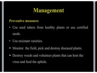 potato leaf roll virus.pptx