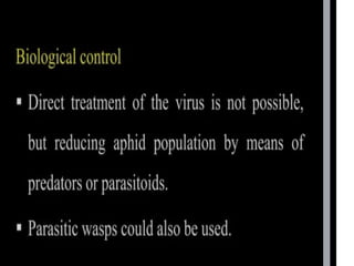 potato leaf roll virus.pptx