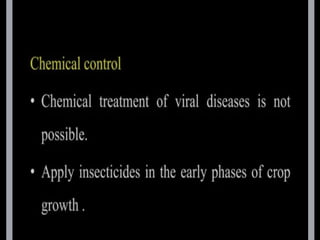 potato leaf roll virus.pptx