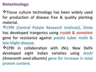 Biotechnology:
Tissue culture technology has been widely used
for production of disease free & quality planting
material.
CPRI (Central Potato Research Institute), Simla
has developed trangenics using cryIab & asmotion
gene for resistance against potato tuber moth &
late blight disease.
CPRI in collaboration with JNU, New Delhi
developed eight indian varieties using AmAI
(Amaranth seed albumin) gene for increase in total
protein content.
 