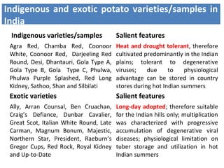 Indigenous and exotic potato varieties/samples in
India
Indigenous varieties/samples Salient features
Agra Red, Chamba Red, Coonoor
White, Coonoor Red, Darjeeling Red
Round, Desi, Dhantauri, Gola Type A,
Gola Type B, Gola Type C, Phulwa,
Phulwa Purple Splashed, Red Long
Kidney, Sathoo, Shan and Silbilati
Heat and drought tolerant, therefore
cultivated predominantly in the Indian
plains; tolerant to degenerative
viruses; due to physiological
advantage can be stored in country
stores during hot Indian summers
Exotic varieties Salient features
Ally, Arran Counsal, Ben Cruachan,
Craig’s Defiance, Dunbar Cavalier,
Great Scot, Italian White Round, Late
Carman, Magnum Bonum, Majestic,
Northern Star, President, Raeburn’s
Gregor Cups, Red Rock, Royal Kidney
and Up-to-Date
Long-day adopted; therefore suitable
for the Indian hills only; multiplication
was characterized with progressive
accumulation of degenerative viral
diseases; physiological limitation on
tuber storage and utilization in hot
Indian summers
 