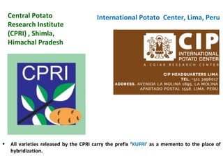 Central Potato
Research Institute
(CPRI) , Shimla,
Himachal Pradesh
International Potato Center, Lima, Peru
• All varieties released by the CPRI carry the prefix ‘KUFRI’ as a memento to the place of
hybridization.
 