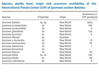 Species, ploidy level, origin and accession availability at the
International Potato Center (CIP) of Ipomoea section Batatas.
 