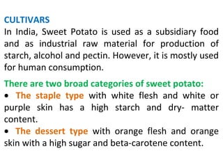 CULTIVARS
In India, Sweet Potato is used as a subsidiary food
and as industrial raw material for production of
starch, alcohol and pectin. However, it is mostly used
for human consumption.
There are two broad categories of sweet potato:
• The staple type with white flesh and white or
purple skin has a high starch and dry- matter
content.
• The dessert type with orange flesh and orange
skin with a high sugar and beta-carotene content.
 