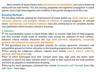 Most varieties of Sweet Potato show self and cross incompatibility, low natural flowering
ability and low seed fertility. This out crossing, polyploidy and vegetative propagation in sweet
potato, causes high heterozygosity and variability in the genetic background of this crop.
Breeding Methods :
The breeding methods adopted for improvement of sweet potato are clonal selection, mass
selection, polycross and pedigree method of selection in crossed progenies of selected
clones. Spontaneous and induced mutations have also contributed to its variability besides
cross pollination which has been utilized in breeding.
1. Selection :
 The incompatibility system in Sweet Potato offers to maintain high level of heterozygosity
and thus provides ample scope of selection even among the collection of local cultivars.
Selection criteria includes characters like high yield potential, adaptability, acceptable
qualities and resistance to major pests and diseases.
 The germplasm has to be evaluated critically for various agronomic characters and
compatibility groups for further utilization in the breeding programme or for direct selection.
Thus among the indigenous cultivars, superior lines include cross-4, cross-5, s-30,c-43,
Kalmegh, kanhangad local etc.
Out of which kanhangad local with compact plant type, high yield and better tuber
quality(25 % starch) has been selected which is suited to both upland and low land condition
and there by adopted in recombination breeding.
Among the exotic genotypes, acclaimed lines include Centennial, and 'Triumph' from USA;
and ‘ Norin ' from Japan.
 
