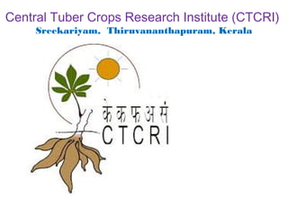 Central Tuber Crops Research Institute (CTCRI)
Sreekariyam, Thiruvananthapuram, Kerala
 