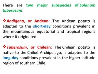 There are two major subspecies of Solanum
tuberosum:
Andigena, or Andean: The Andean potato is
adapted to the short-day conditions prevalent in
the mountainous equatorial and tropical regions
where it originated.
Tuberosum, or Chilean: The Chilean potato is
native to the Chiloé Archipelago, is adapted to the
long-day conditions prevalent in the higher latitude
region of southern Chile.
 